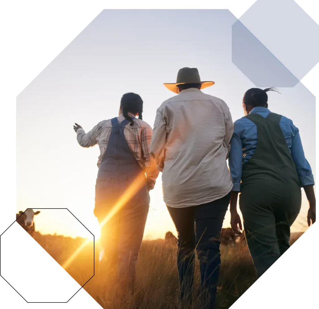 Three people in casual clothing, including dungarees and a hat, walk through tall grass in a field at sunset, with cows grazing in the background and sunlight streaming through.